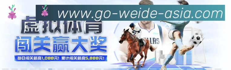 未来规划